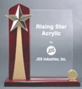  Acrylic- Rosewood Rising Star Award